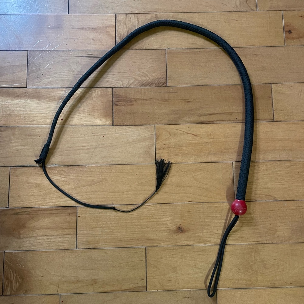 Black Braided Whip with Red Accent